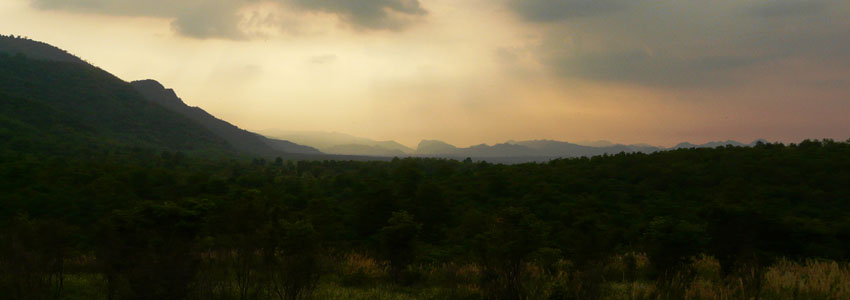 Khao Yai National Park